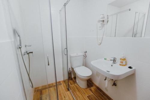Pension Tofalvi - 846