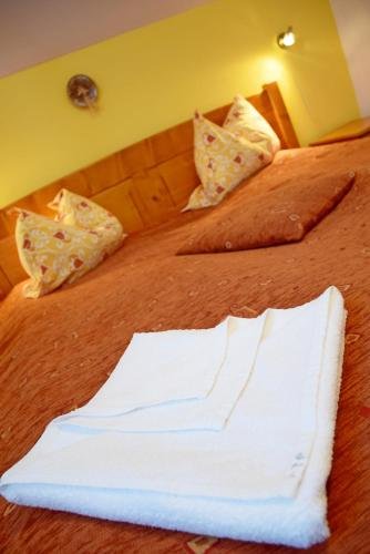 Pension Tofalvi - 800