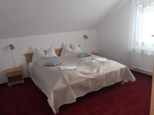 Pension Tofalvi - 909