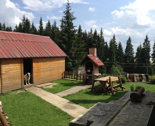 Pension Tofalvi - 199