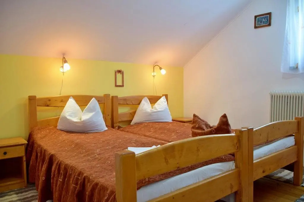 Pension Tofalvi - 313