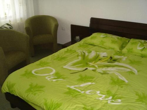 Pension Valea Mariei - 60