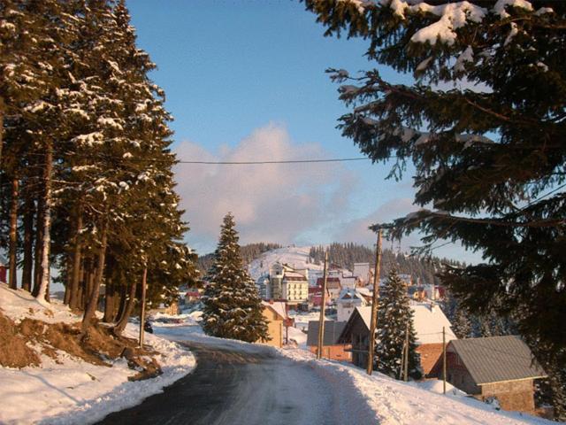 Pension Valea Mariei - 635