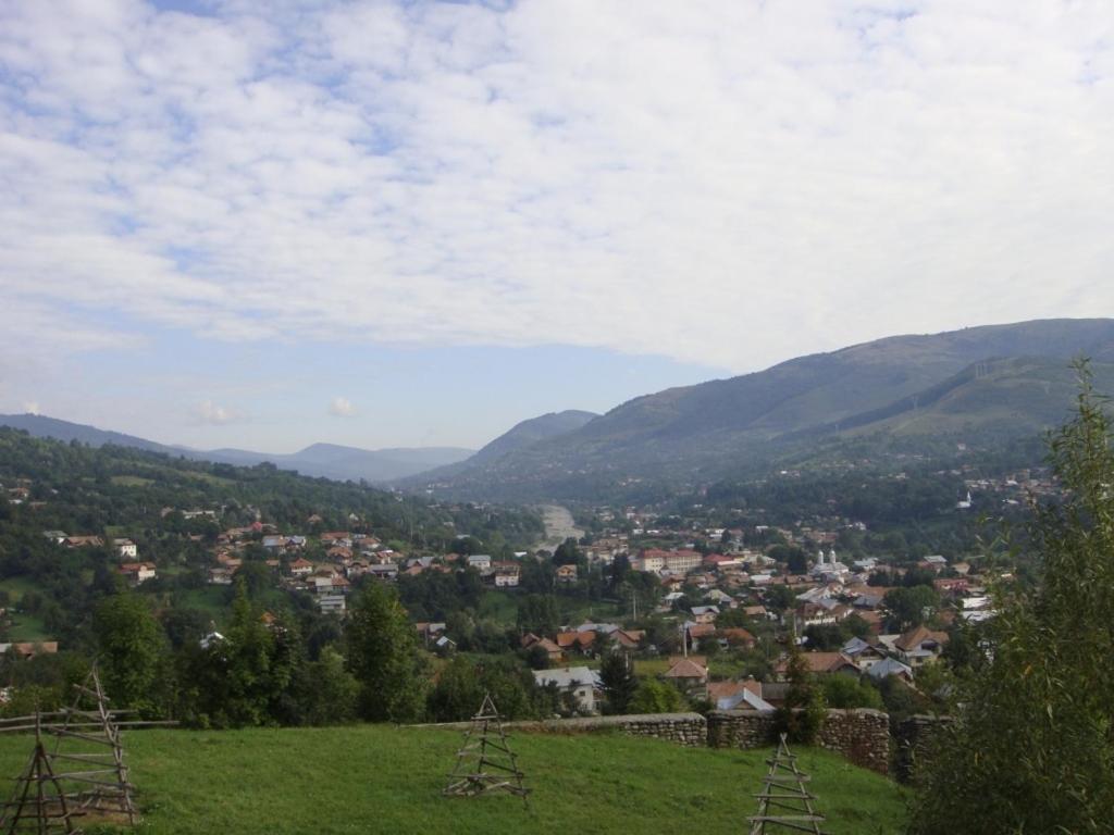 Pension Valea Negrasului - 50