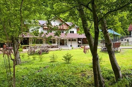 Pension Valea Negrasului - 736