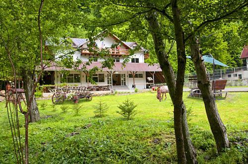 Pension Valea Negrasului - 203