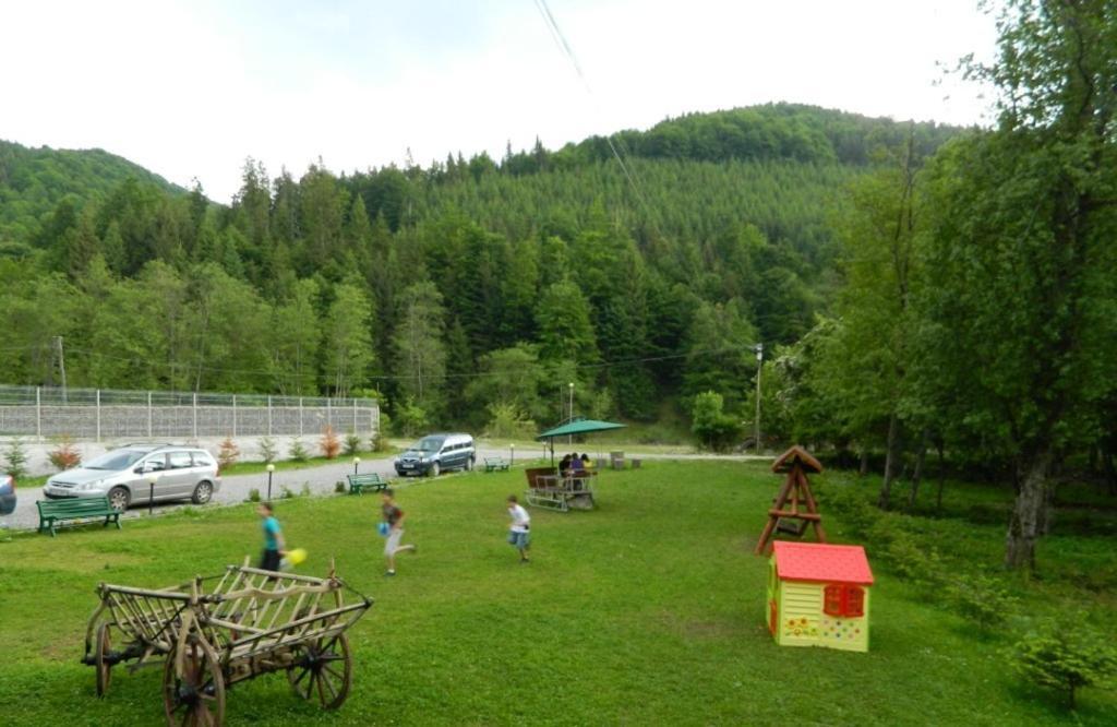Pension Valea Negrasului - 198