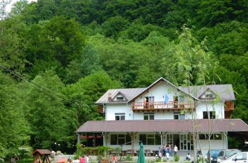 Pension Valea Negrasului - 469