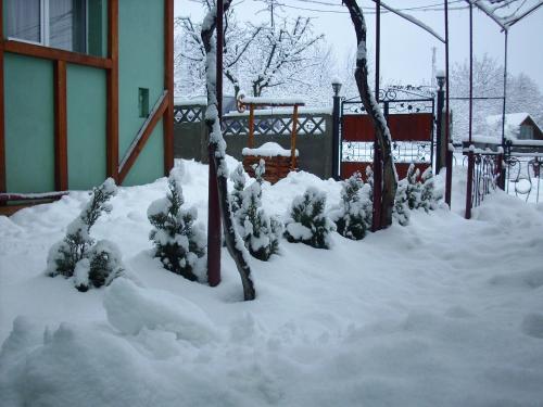 Pension Verde - 275