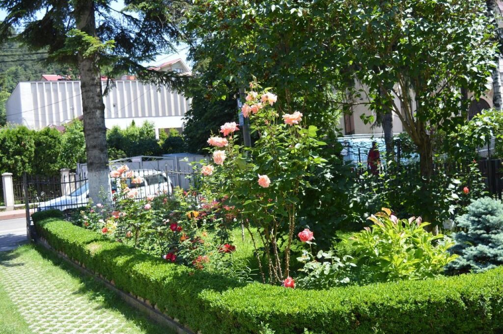 Pension Villador - 996