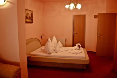Pensiunea Vlad Home - 541