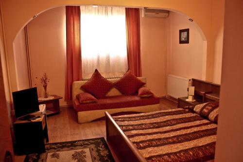 Pensiunea Vlad Home - 373