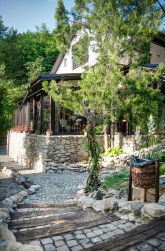 Pensiune-Restaurant Tara Luanei - 387