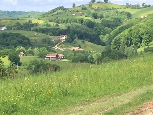 Pensiunea 7 Brazi - 333