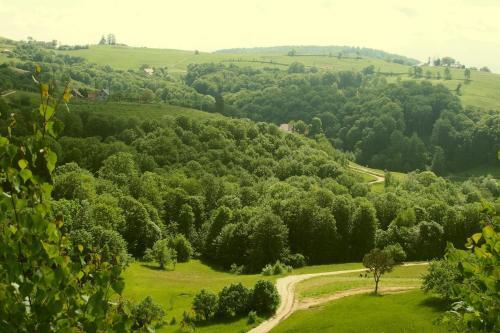 Pensiunea 7 Brazi - 460