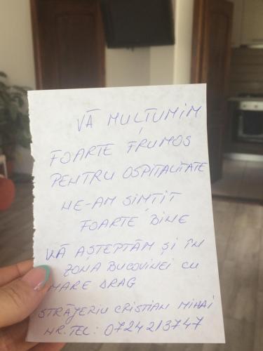 Pensiunea 7 Brazi - 4