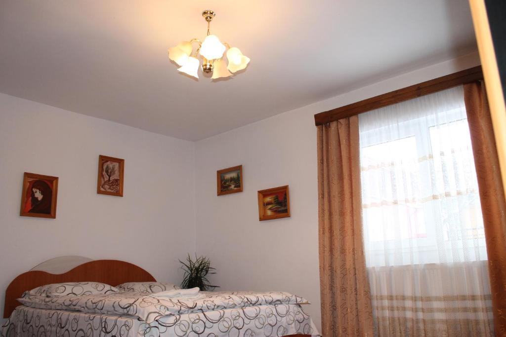 Pensiunea Alecsandra - 676