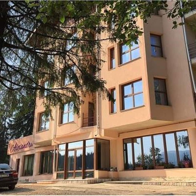 Pensiunea Alexandra - 84