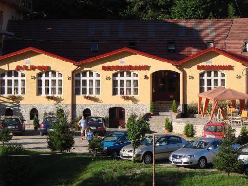 Pensiunea Alpin - 230