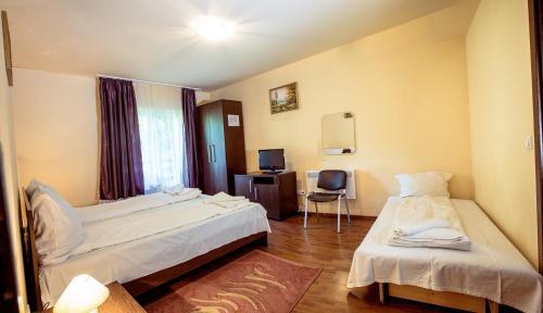Pensiunea Alpin - 219