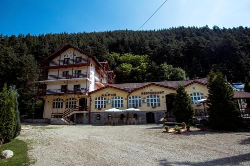 Pensiunea Alpin - 854