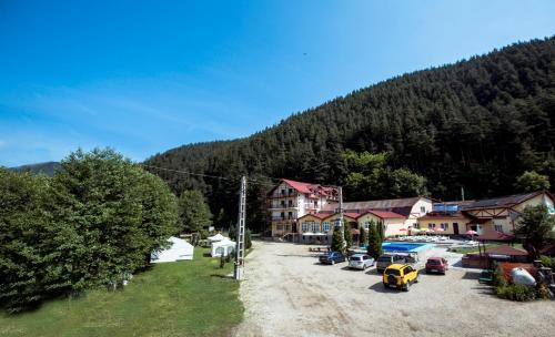 Pensiunea Alpin - 991