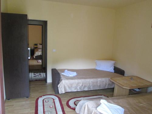 Pensiunea Alpin - 545