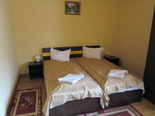 Pensiunea Alpin - 546
