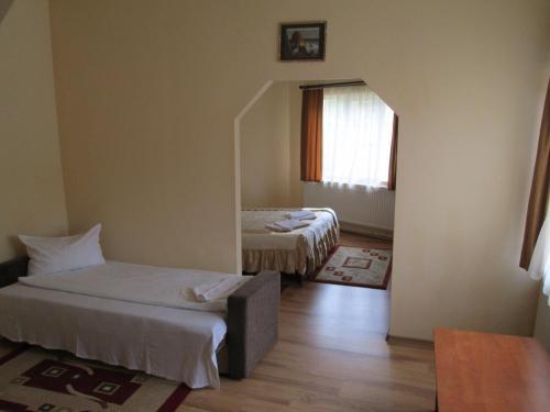 Pensiunea Alpin - 248