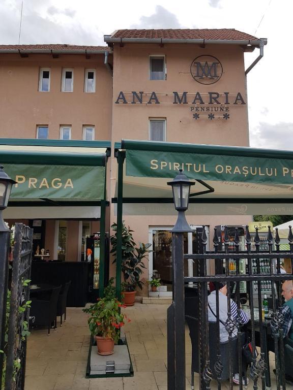 Pensiunea Ana Maria - 744