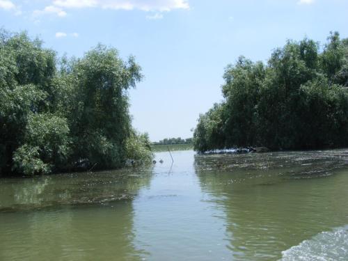 Pensiunea Anca - 228