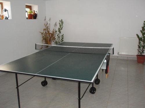 Arnota - 475