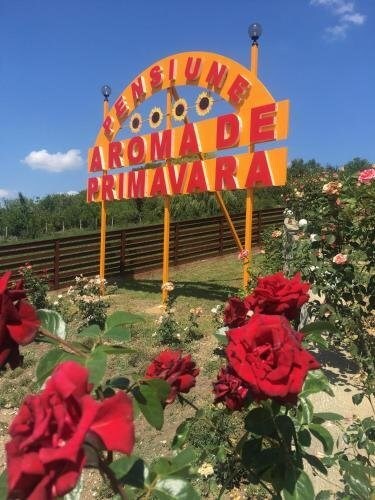 Pensiunea Aroma de Primavara - 811