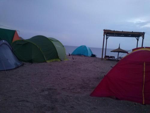 Atia Residence - 272