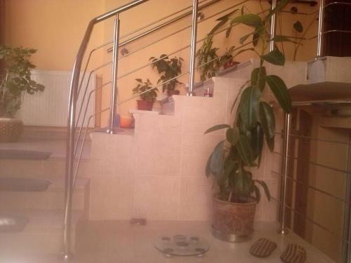 Atia Residence - 160