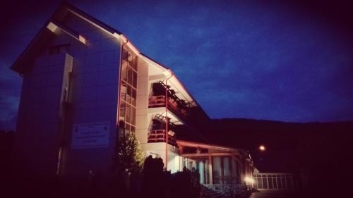 Pensiunea Balan - 310