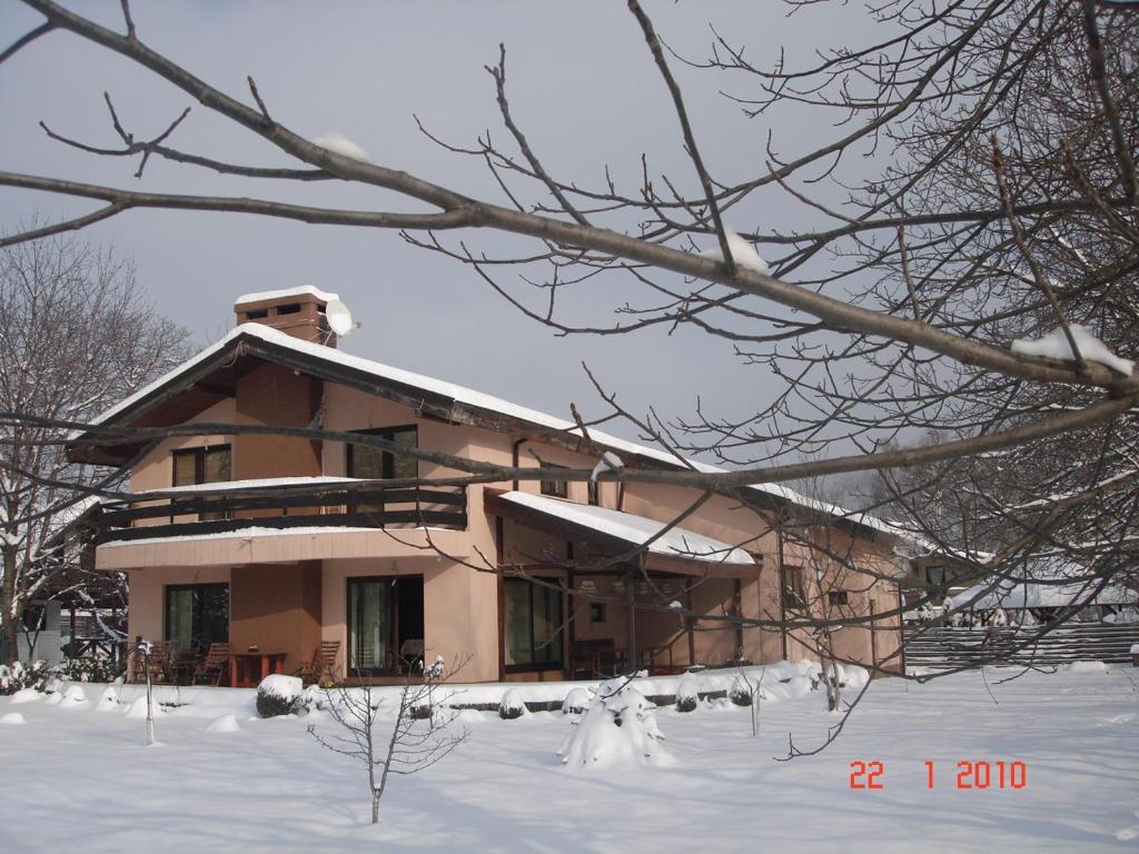 Pensiunea Bamboo - Villa - 540