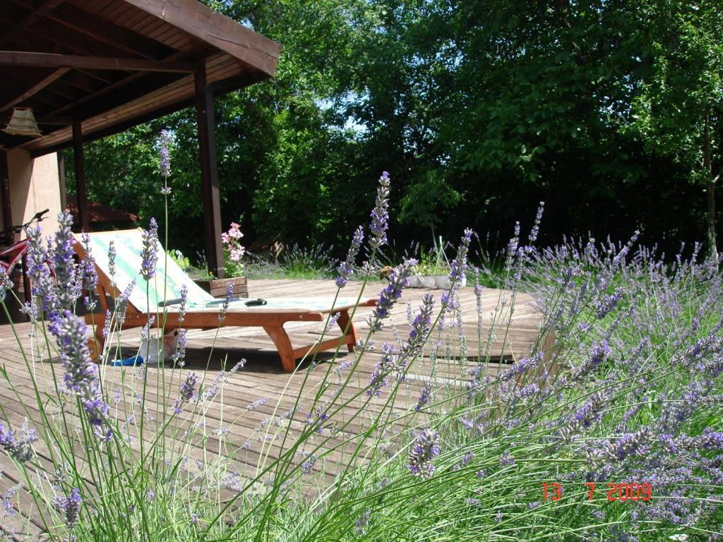 Pensiunea Bamboo - Villa - 733