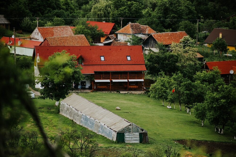 Pensiunea Bio Haus - 233