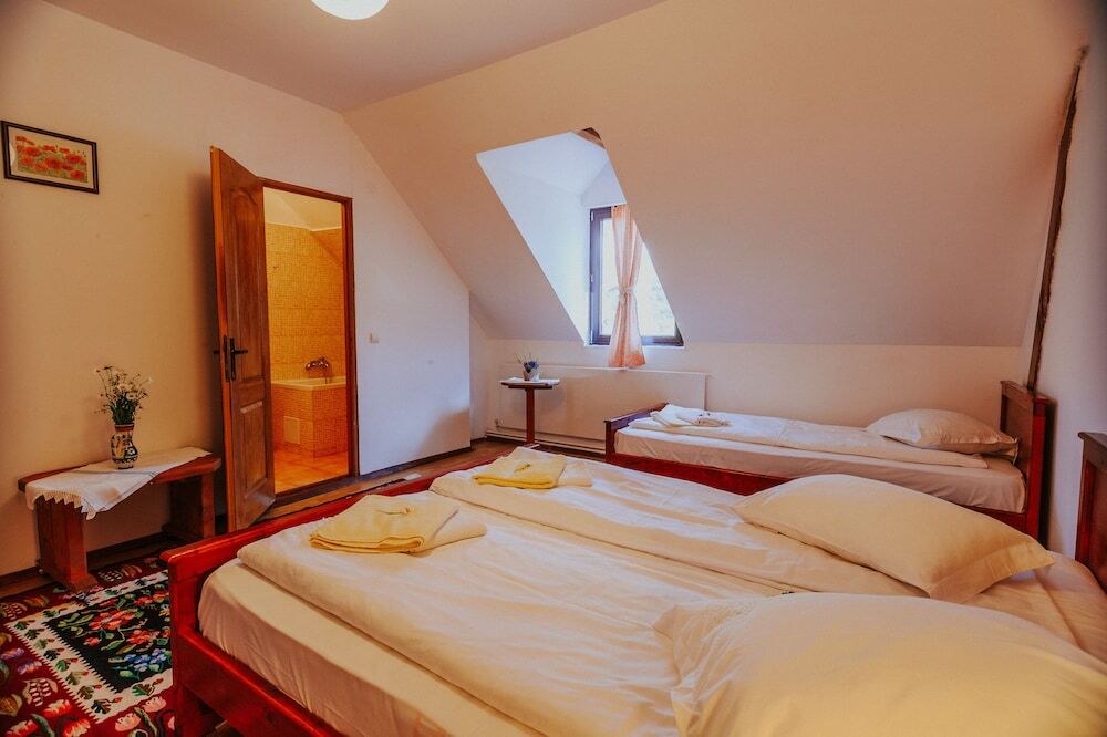 Pensiunea Bio Haus - 610
