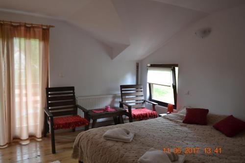 Pensiunea Carma - 531
