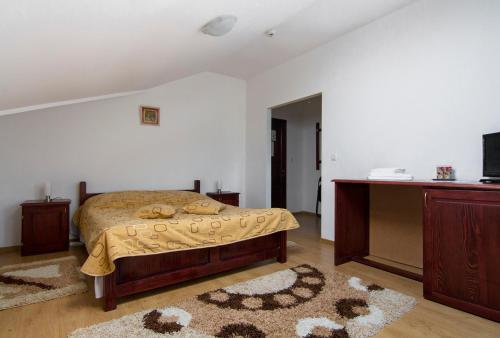 Pensiunea Casa Anca - 65