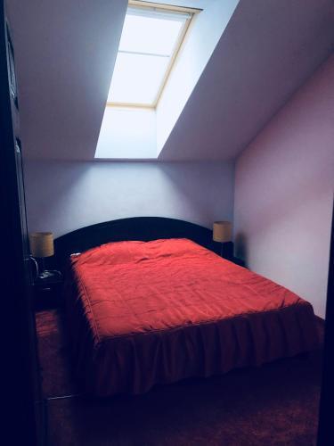 Pensiunea Casa Ancutei - 540