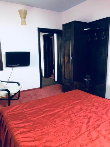 Pensiunea Casa Ancutei - 5