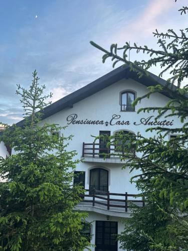 Pensiunea Casa Ancutei - 719