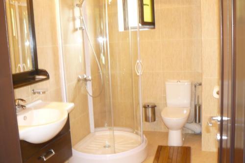 Pensiunea Casa Ancutei - 700