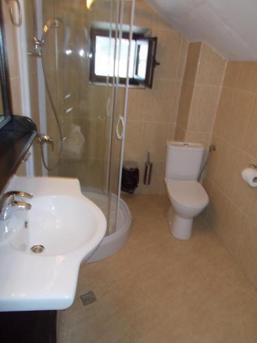 Pensiunea Casa Ancutei - 623