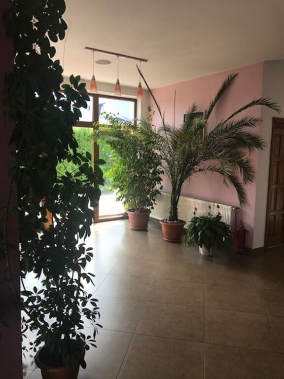 Pensiunea Casa Blanca - 704