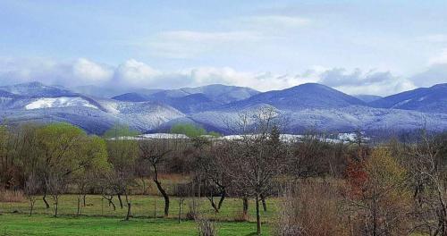 Pensiunea Casa Moga - 663
