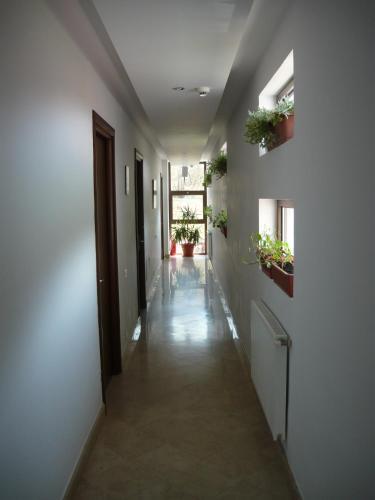 Pensiunea Casa Padurii - 925